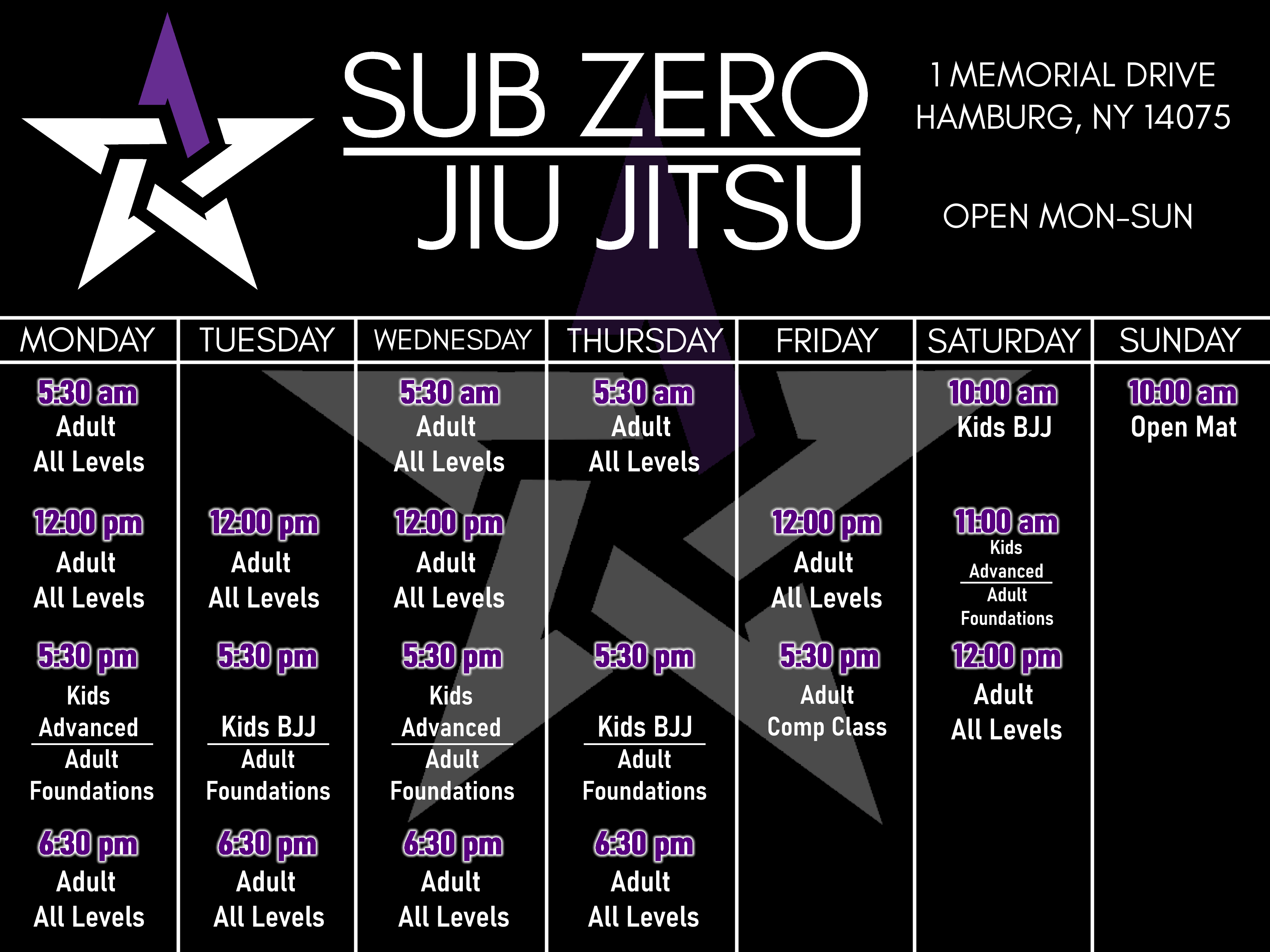 The schedule of Subzero Martial Arts in Hamburg New York in calendar format