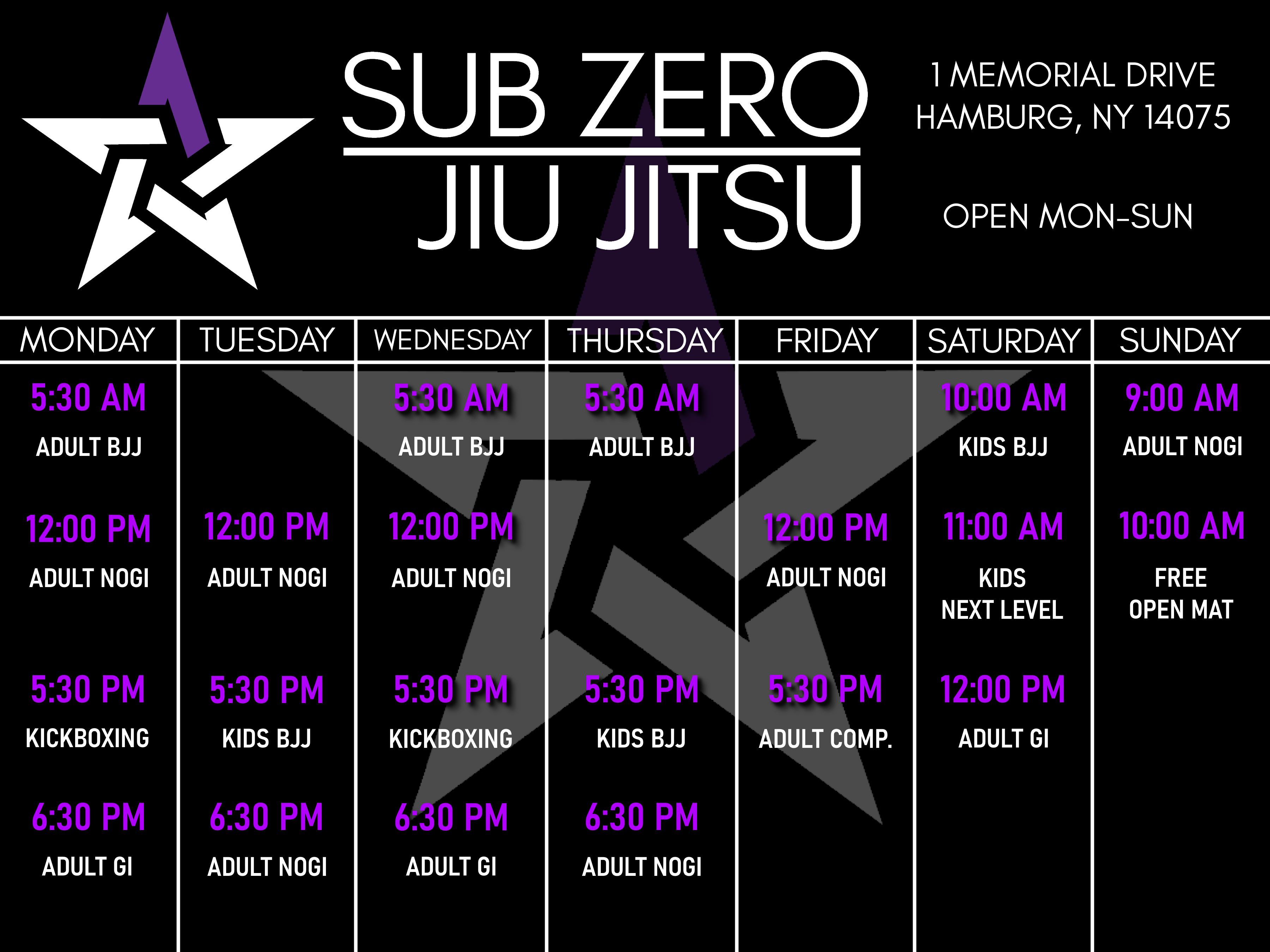 The schedule of Subzero Martial Arts in Hamburg New York in calendar format